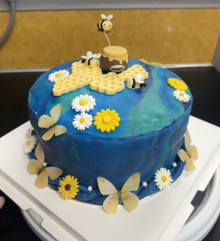 Cake made by Sarah Schwertner