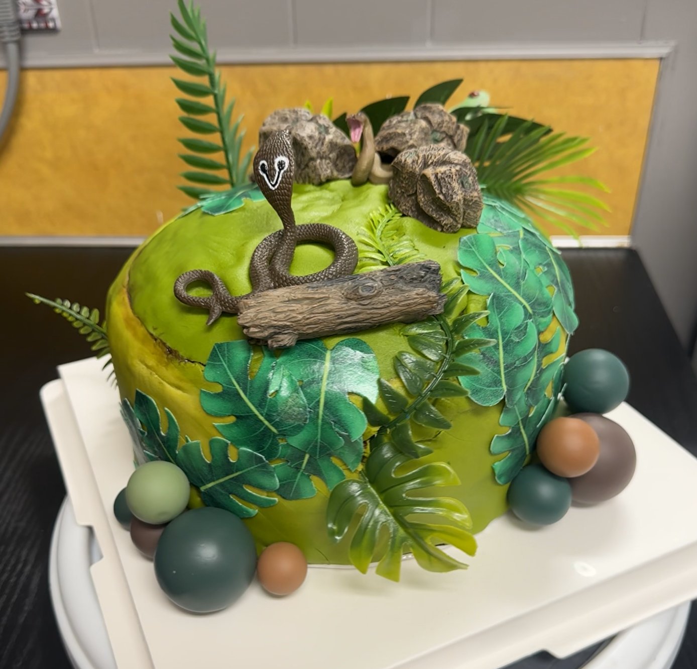 Cake made by Ilianie Rambaran